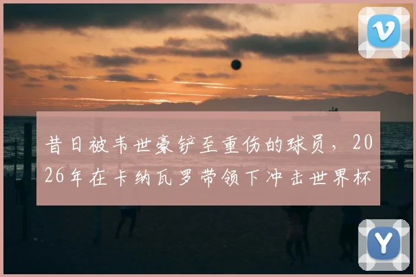 昔日被韦世豪铲至重伤的球员，2026年在卡纳瓦罗带领下冲击世界杯，他是谁？现状如何？